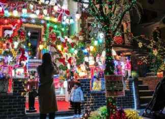Boost Retail Sales with Unique Holiday Decor: Trees to Decorative Chickens boost-retail-sales-with-unique-holiday-decor-trees-to-decorative-chickens