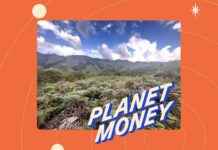 Exploring the Role of Habitat Banking in Environmental Conservation: A Planet Money Special exploring-the-role-of-habitat-banking-in-environmental-conservation-a-planet-money-special