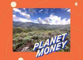Exploring the Role of Habitat Banking in Environmental Conservation: A Planet Money Special exploring-the-role-of-habitat-banking-in-environmental-conservation-a-planet-money-special