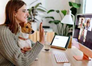 Gen Zers Spoiling Pets: A Growing Trend Among Young Adults gen-zers-spoiling-pets-a-growing-trend-among-young-adults