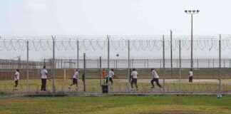 Impact of Donald Trump’s Victory on Private-Prison Company Shares mpact-of-donald-trumps-victory-on-private-prison-company-shares