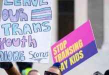 Navigating Uncertainty: Impact of Trump’s Win on Trans Community navigating-uncertainty-mpact-of-trumps-win-on-trans-community