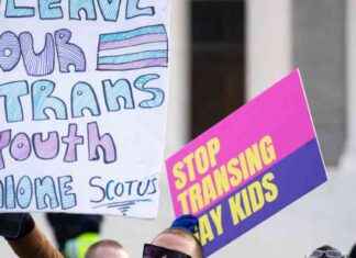 Navigating Uncertainty: Impact of Trump’s Win on Trans Community navigating-uncertainty-mpact-of-trumps-win-on-trans-community