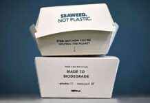 Seaweed as a Sustainable Alternative to Plastic Packaging seaweed-as-a-sustainable-alternative-to-plastic-packaging