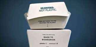 Seaweed as a Sustainable Alternative to Plastic Packaging seaweed-as-a-sustainable-alternative-to-plastic-packaging