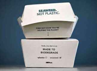 Seaweed as a Sustainable Alternative to Plastic Packaging seaweed-as-a-sustainable-alternative-to-plastic-packaging