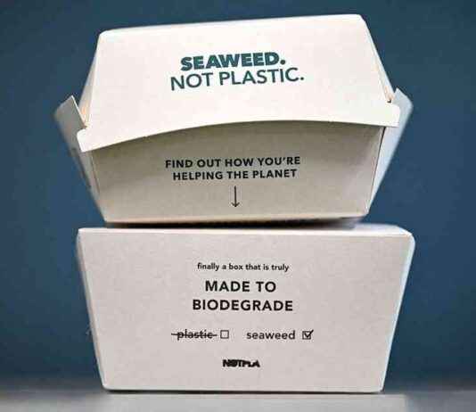 Seaweed as a Sustainable Alternative to Plastic Packaging seaweed-as-a-sustainable-alternative-to-plastic-packaging