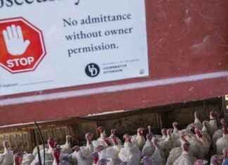 California Declares State of Emergency Due to Severe Bird Flu Outbreak: Implications for the Nation california-declares-state-of-emergency-due-to-severe-bird-flu-outbreak-mplications-for-the-nation