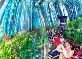 China’s AI Model Builders Engage in Price War chinas-a-model-builders-engage-in-price-war