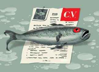 Crafting an Effective CV: Tips for Success crafting-an-effective-cv-tips-for-success