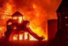 Devastating LA Wildfires Cause Over $50 Billion in Damages devastating-la-wildfires-cause-over-50-billion-in-damages