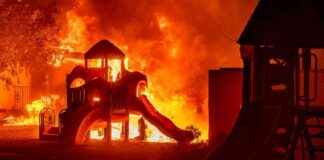 Devastating LA Wildfires Cause Over $50 Billion in Damages devastating-la-wildfires-cause-over-50-billion-in-damages