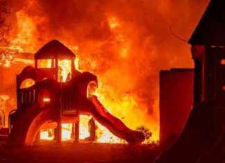 Devastating LA Wildfires Cause Over $50 Billion in Damages devastating-la-wildfires-cause-over-50-billion-in-damages