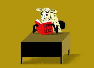 Effective Strategies for Successful Followership effective-strategies-for-successful-followership