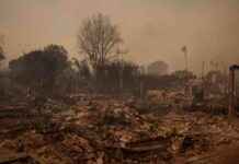 Escaping the Chaos: California Wildfires and Two Families’ Fight for Survival escaping-the-chaos-california-wildfires-and-two-families-fight-for-survival