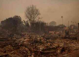 Escaping the Chaos: California Wildfires and Two Families’ Fight for Survival escaping-the-chaos-california-wildfires-and-two-families-fight-for-survival