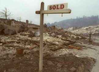 Navigating California’s Insurance Crisis: A Wildfire Survivor Turned Economist’s Perspective navigating-californias-nsurance-crisis-a-wildfire-survivor-turned-economists-perspective