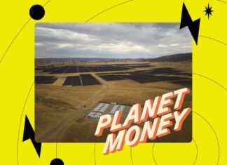 Revolutionizing Energy Grid with Batteries: Planet Money Analysis revolutionizing-energy-grid-with-batteries-planet-money-analysis