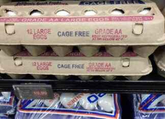 Is Inflation Getting Worse for Americans under Trump’s Presidency? s-nflation-getting-worse-for-americans-under-trumps-presidency