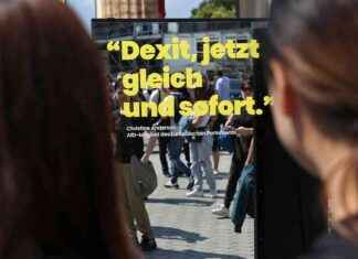 The Impact of the Hard Right Rise on German Business Leaders the-mpact-of-the-hard-right-rise-on-german-business-leaders