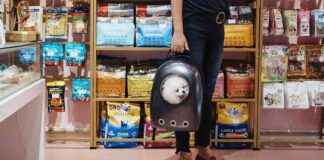 The Rise of Pet Spending: A Growing Trend among Owners the-rise-of-pet-spending-a-growing-trend-among-owners