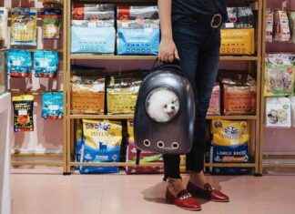 The Rise of Pet Spending: A Growing Trend among Owners the-rise-of-pet-spending-a-growing-trend-among-owners