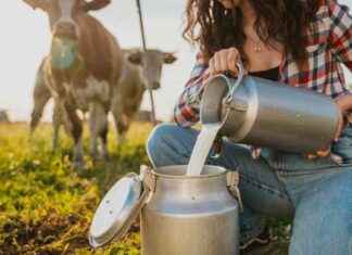 The Risks and Benefits of Drinking Raw Milk: RFK Jr. and Many Others Spend Up to $21 a Gallon the-risks-and-benefits-of-drinking-raw-milk-rfk-jr-and-many-others-spend-up-to-21-a-gallon