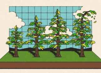 Threat to America’s Growing Profits: Understanding the Challenge threat-to-americas-growing-profits-understanding-the-challenge