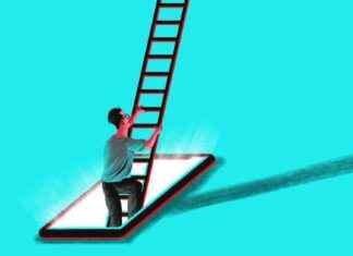 TikTok: The LinkedIn Alternative for Gen-Z Job Seekers tiktok-the-linkedn-alternative-for-gen-z-job-seekers