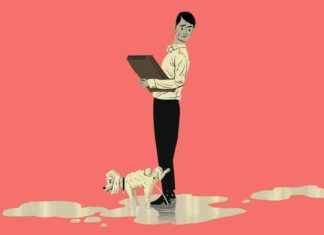 Ultimate Guide to Having Pets in the Workplace: Tips for Success ultimate-guide-to-having-pets-in-the-workplace-tips-for-success