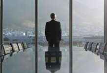 Are CFOs Effective CEOs? Key Differences Explained are-cfos-effective-ceos-key-differences-explained