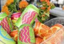 Are Prebiotic Sodas Healthy for You? are-prebiotic-sodas-healthy-for-you