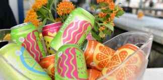 Are Prebiotic Sodas Healthy for You? are-prebiotic-sodas-healthy-for-you