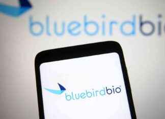 Bluebird Bio Sells Itself to Private Equity Amid Challenges bluebird-bio-sells-tself-to-private-equity-amid-challenges