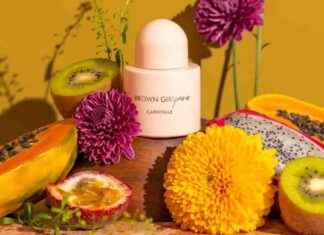 Challenges for Black Founders as Retailers Cut DEI Programs challenges-for-black-founders-as-retailers-cut-de-programs