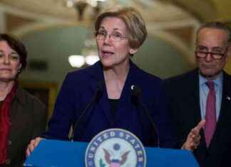 Elon Musk’s Plans for CFPB Data Questioned by Democrat Senators elon-musks-plans-for-cfpb-data-questioned-by-democrat-senators