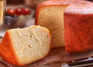 Google’s Gemini AI Super Bowl Ad Mistake: Cheese Whopper googles-gemini-a-super-bowl-ad-mistake-cheese-whopper