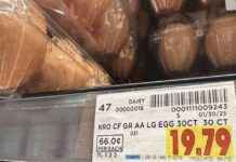 January Inflation: Trump Blames Biden for Rising Egg and Gas Prices january-nflation-trump-blames-biden-for-rising-egg-and-gas-prices