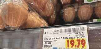 January Inflation: Trump Blames Biden for Rising Egg and Gas Prices january-nflation-trump-blames-biden-for-rising-egg-and-gas-prices