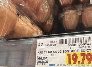 January Inflation: Trump Blames Biden for Rising Egg and Gas Prices january-nflation-trump-blames-biden-for-rising-egg-and-gas-prices