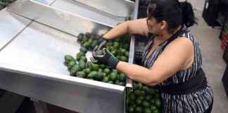 New Tariffs Imposed on Imports from Mexico, Canada, and China: Trade War Escalates new-tariffs-mposed-on-mports-from-mexico-canada-and-china-trade-war-escalates