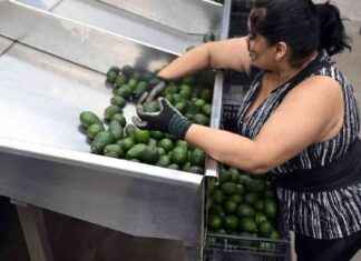 New Tariffs Imposed on Imports from Mexico, Canada, and China: Trade War Escalates new-tariffs-mposed-on-mports-from-mexico-canada-and-china-trade-war-escalates