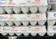 Inflation Surges Unexpectedly, No Relief in Sight nflation-surges-unexpectedly-no-relief-in-sight