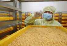 Investors and Big Pharma Seek New Medicines in China nvestors-and-big-pharma-seek-new-medicines-in-china
