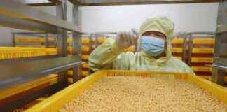 Investors and Big Pharma Seek New Medicines in China nvestors-and-big-pharma-seek-new-medicines-in-china