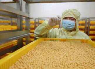 Investors and Big Pharma Seek New Medicines in China nvestors-and-big-pharma-seek-new-medicines-in-china