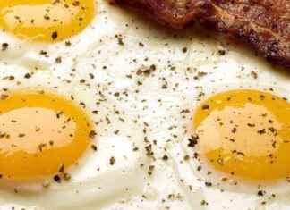 Pennsylvania Troopers Search for Egg Thief: 100,000 Organic Eggs Stolen pennsylvania-troopers-search-for-egg-thief-100000-organic-eggs-stolen