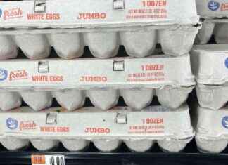 Retailers Limit Egg Purchases: Trader Joe’s, Kroger, and More retailers-limit-egg-purchases-trader-joes-kroger-and-more