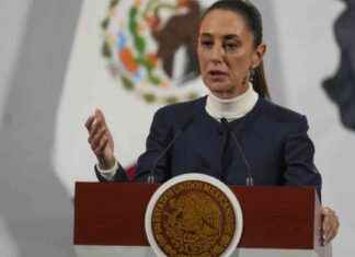 US-Mexico Tariffs Suspended for 1 Month: Trump Announcement us-mexico-tariffs-suspended-for-1-month-trump-announcement