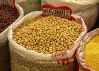 Beijing’s Tariffs on U.S. Farm Imports Amid Trade War beijings-tariffs-on-us-farm-mports-amid-trade-war